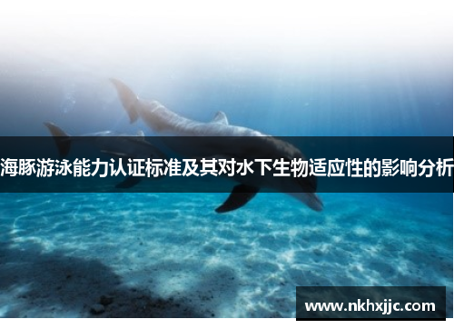 海豚游泳能力认证标准及其对水下生物适应性的影响分析