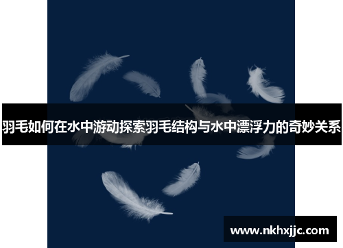 羽毛如何在水中游动探索羽毛结构与水中漂浮力的奇妙关系