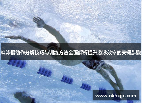 蝶泳慢动作分解技巧与训练方法全面解析提升游泳效率的关键步骤